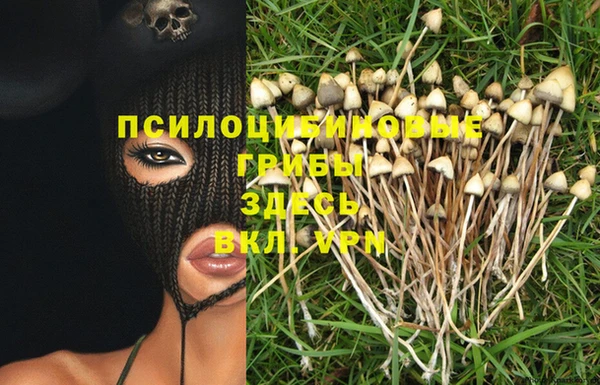 герыч Алексеевка